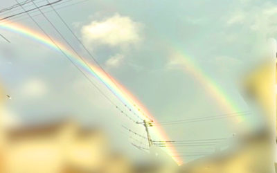 ダブルレインボーの写真