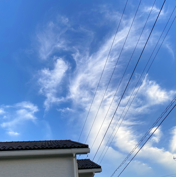 鳳凰のような雲の写真
