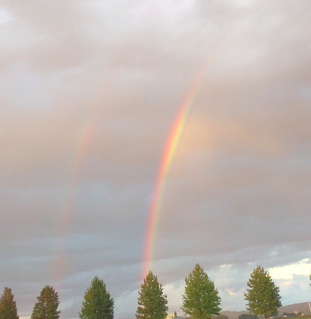 ダブルレインボーの投稿写真