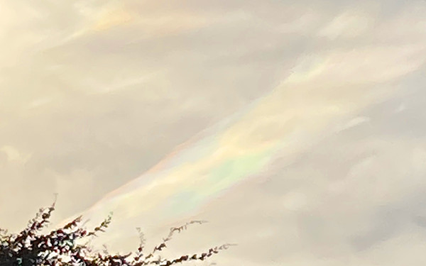 彩雲の投稿写真