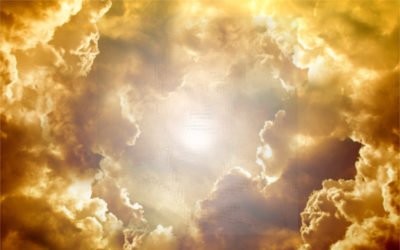 國村準さんのイメージイラスト