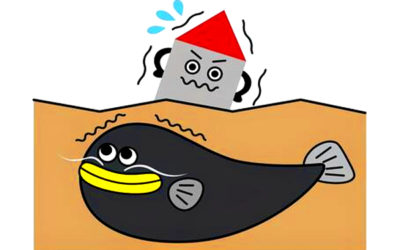 ナマズのイラスト