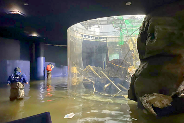 ニュースの画像