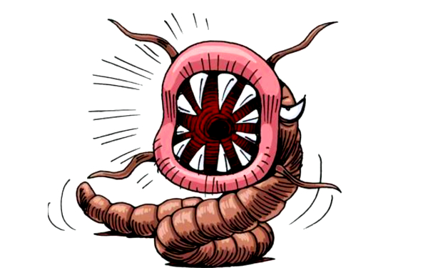 巨大ミミズのイメージイラスト