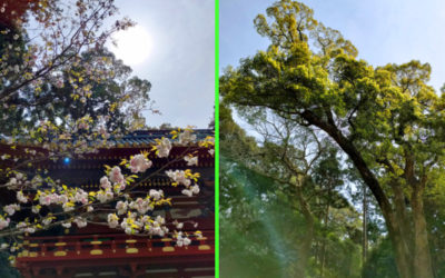 オーブの投稿写真