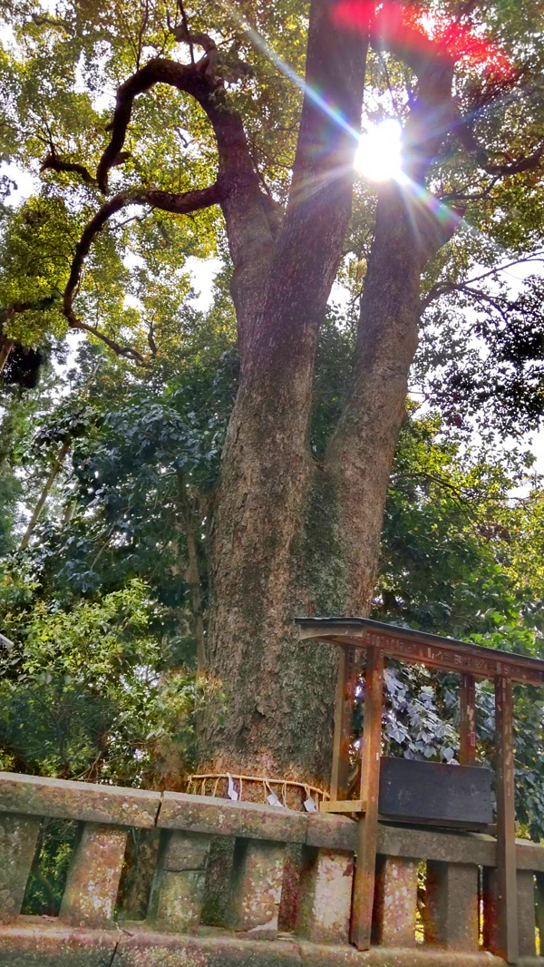 オーブの投稿写真