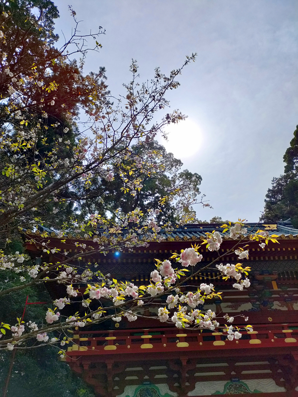 オーブの投稿写真