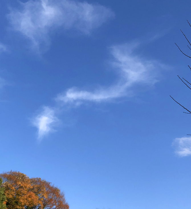 龍のような雲の写真