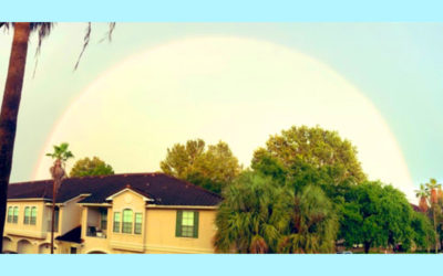 虹の写真