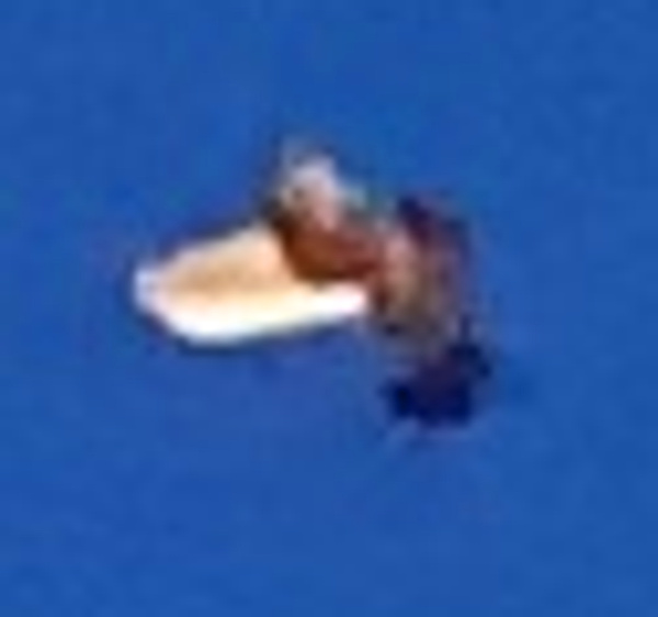 すずさんからの投稿写真