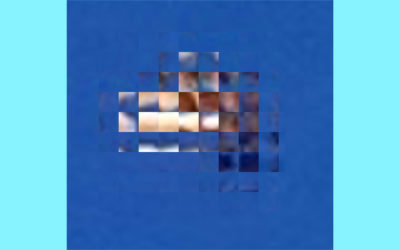 すずさんからの投稿写真