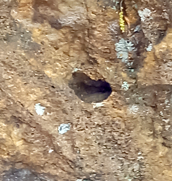 御岩神社の写真