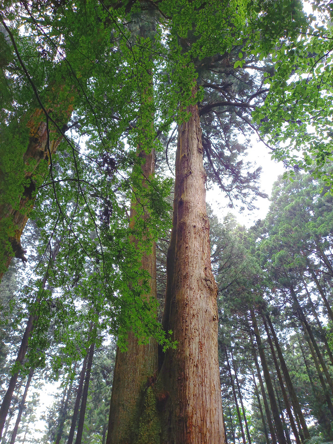 御岩神社の写真