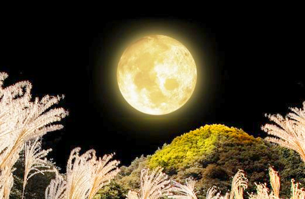 中秋の名月の写真