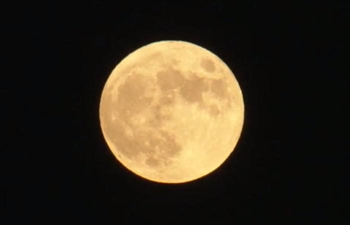 中秋の名月の写真