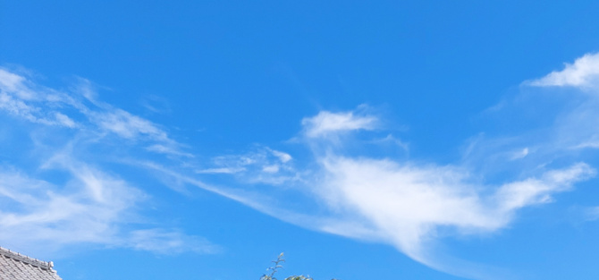 龍神雲の投稿写真