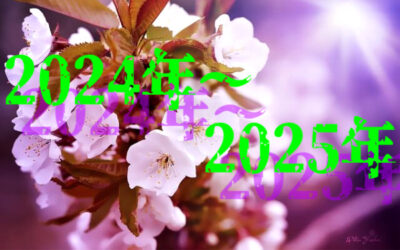 さくらさんのイメージ写真