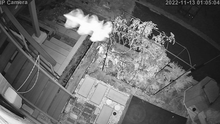 スカイフィッシュの画像