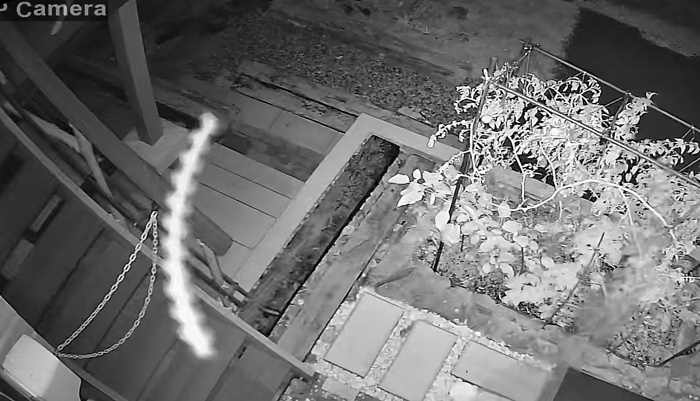 スカイフィッシュの画像