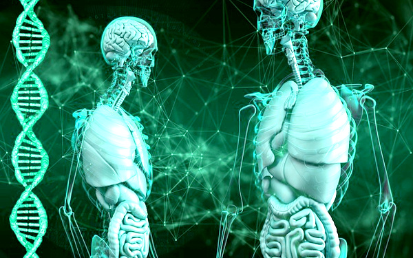 クローン人間のイメージイラスト