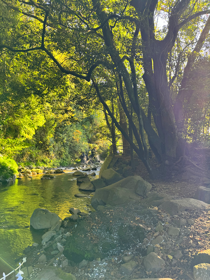 瀧川神社の写真